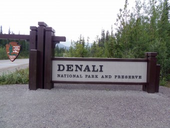 Our welcome to Denali National Park.